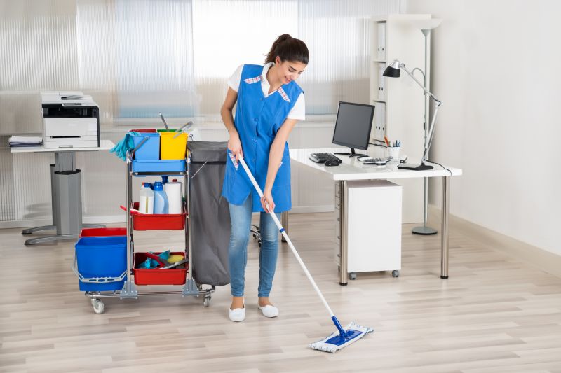 Janitorial Service detail